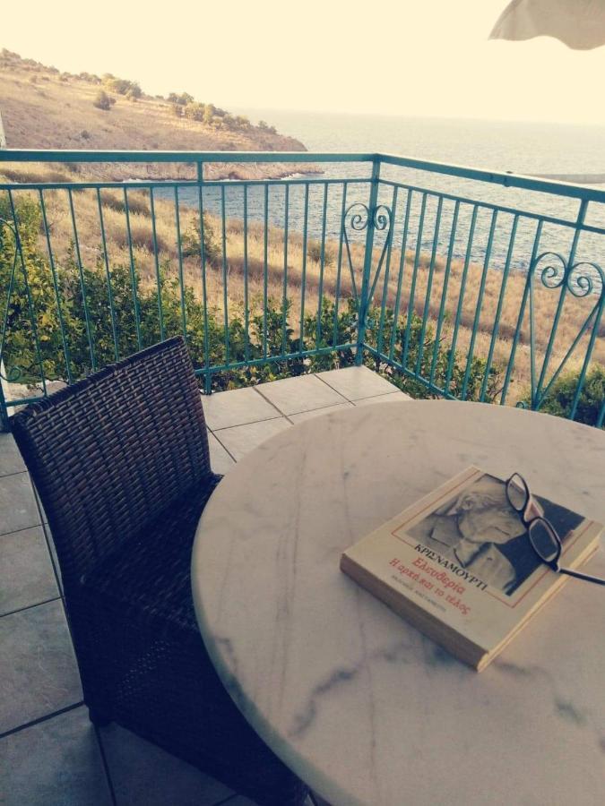 Villa Castle Sea View Parálion Ástros エクステリア 写真