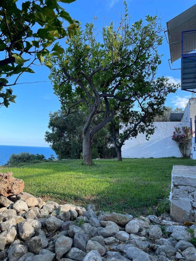Villa Castle Sea View Parálion Ástros エクステリア 写真