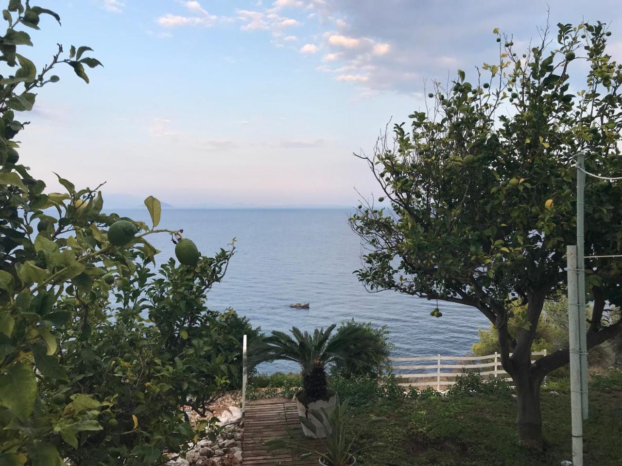 Villa Castle Sea View Parálion Ástros エクステリア 写真