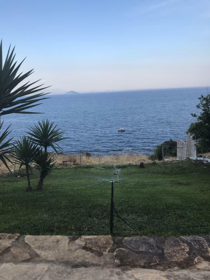 Villa Castle Sea View Parálion Ástros エクステリア 写真